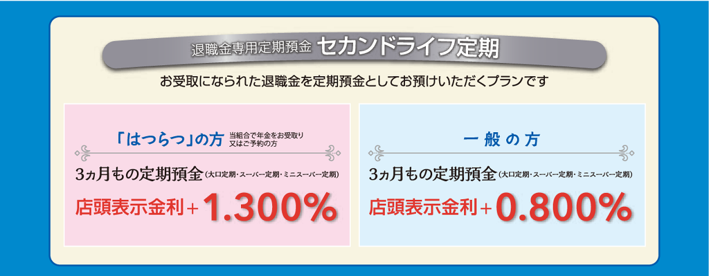 1173様 専用です 広い